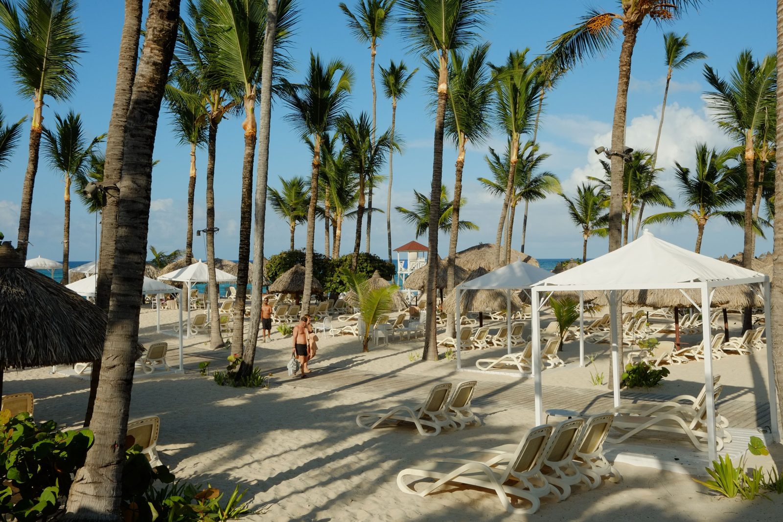 Scène de plage tropicale idyllique avec des palmiers, des transats et des parasols dans une station balnéaire en bord de mer.